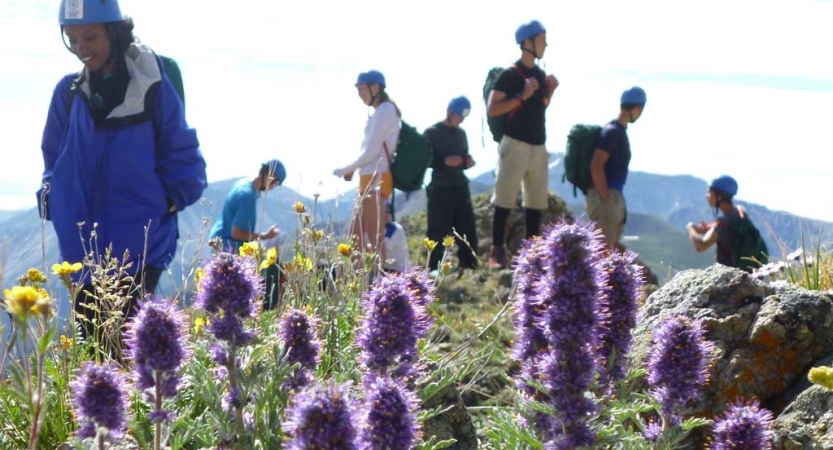 Purple and yellow wildflowers appear in front of a group of students wearing helmets